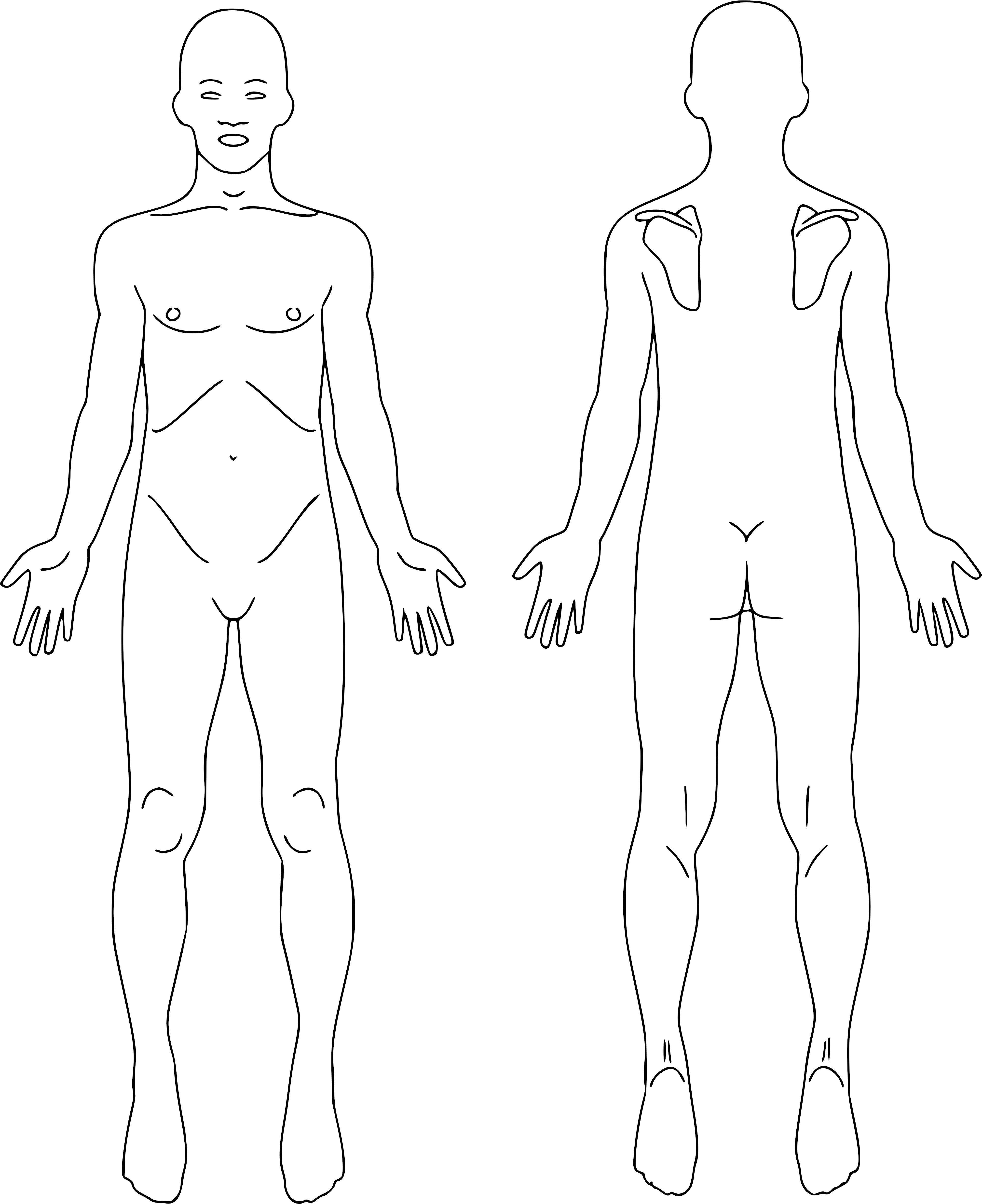 Lámina anatómica para mapa clínico en XoluMED